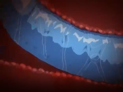 Thumbnail of post image 149