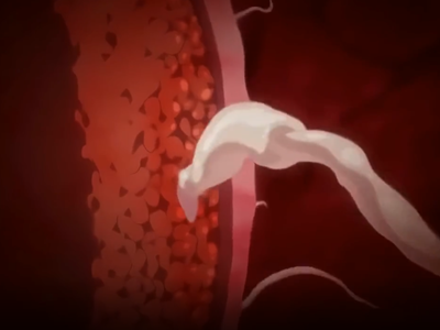 Thumbnail of post image 023