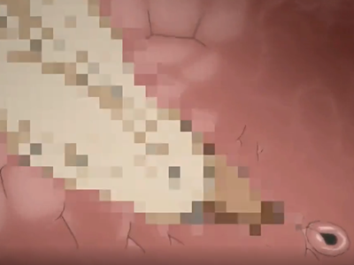 Thumbnail of post image 142