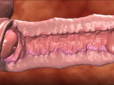 Thumbnail of post image 048